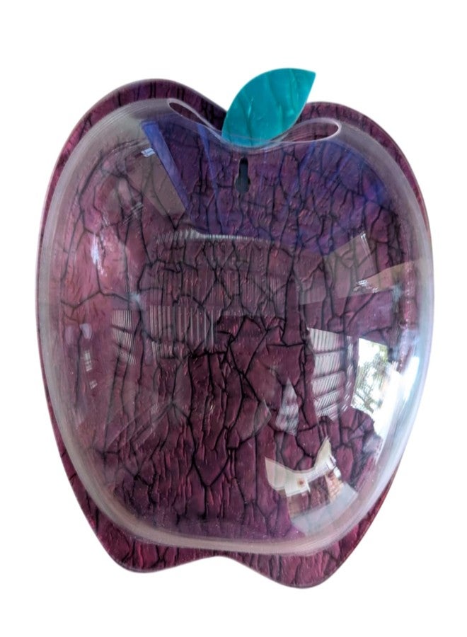 حوض سمك جداري على شكل تفاحة نبيذية مقاس 9 بوصات - بدون قاعدة | حوض أسماك عصري للمنزل والمكتب والمقهى | تصميم موفر للمساحة | حوض سمك أنيق وحوض نباتات زجاجي | تصميم صغير الحجم - Image 1